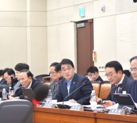 배준영 의원, 정치개혁특위서 인천 광역·기초의원 정수 부족 지적