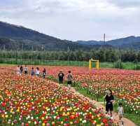 안동시, ‘안동포세대공감페스타’ 개최