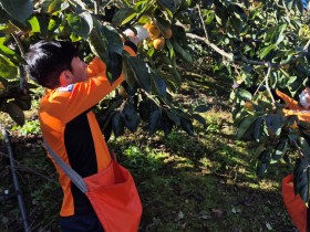의창소방서, 수확 철 맞아 농촌 일손 돕기 봉사 나서