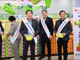 김천의 달콤함 유혹’ 전국 롯데마트서 김천샤인머스켓 만난다.