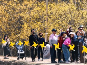 봉화군 2026년 1분기 ‘청년정책협의체 정기회의’ 개최