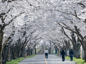 상주시, 2026년 『다양한 우리쌀·밀 활용 교육』성황리 종료