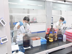 경북도, 시군과 함께 현장 중심 규제혁신 본격 추진
