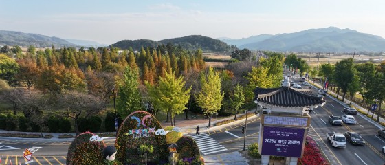 경북도, 2026년 가로수 조성‧관리 우수사례 국민투표 도전