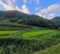 울진금강송 산지농업, ‘FAO 세계중요농업유산 인증서’ 수여
