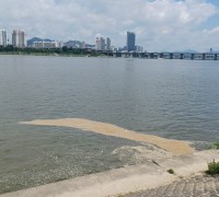 “죽으러 간다”며 사라진 40대 남성..한강에서 시신으로 발견