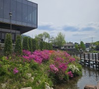 특별한 전통주와 함께하는 올추석 경기도 추천 5종